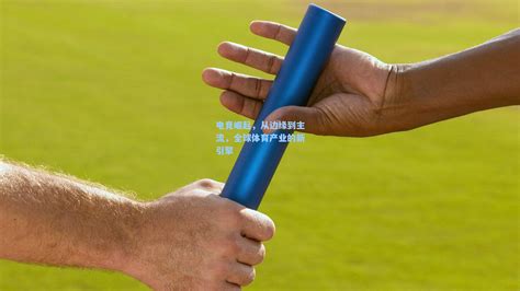 【软著】AI体育成绩自助查询系统 华体会体育